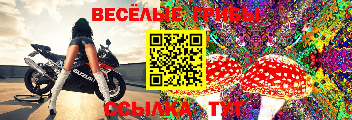 Иваново  Псилоцибиновые грибы Psilocybe  дарнет шоп  Вход с VPN 